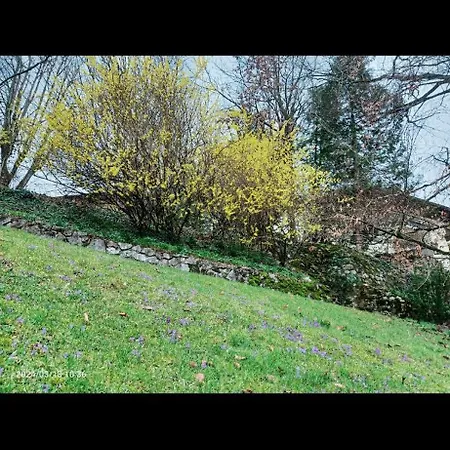 Kinsky Nest * Bad Ischl