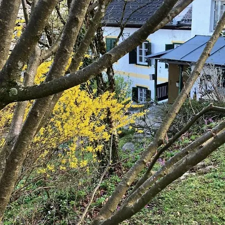 Holiday park Kinsky Nest